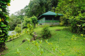 Grace Luxury Camp
